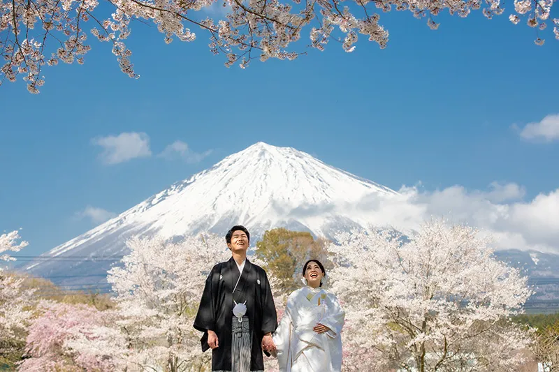 Fuji with Cherry Blossom photo wedding 1