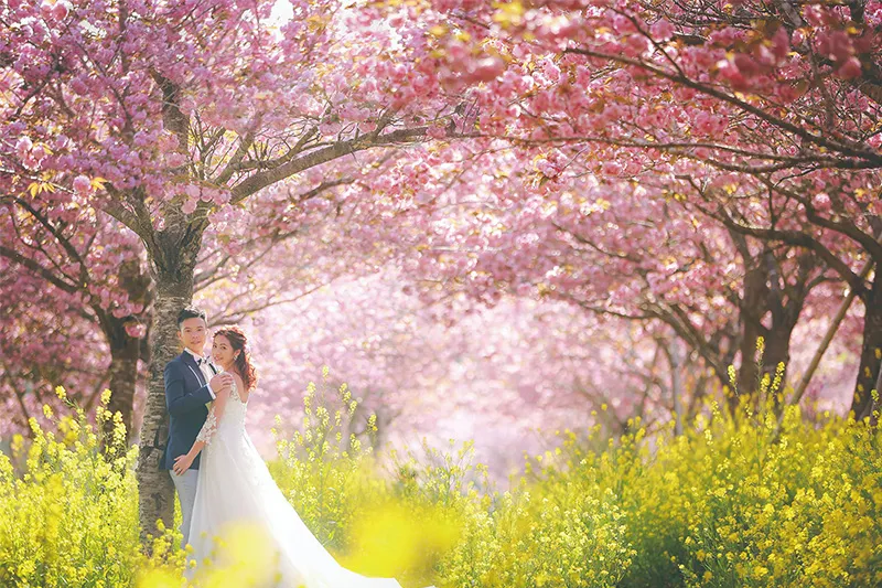 Fuji with Cherry Blossom photo wedding 2