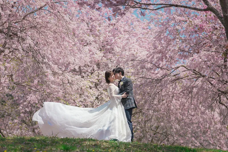 Fuji with Cherry Blossom photo wedding 5