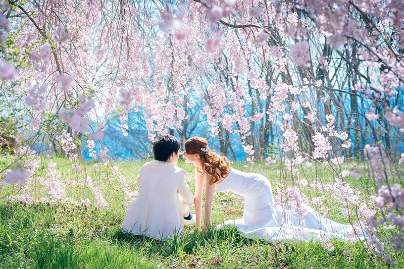 Iizunayama Park photo wedding 1