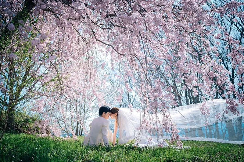 Iizunayama Park photo wedding 2