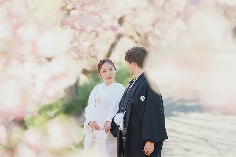 Izu Kawazu Sakura photo wedding 2