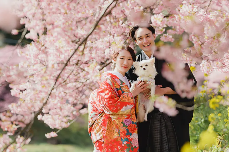 Izu Kawazu Sakura photo wedding 3