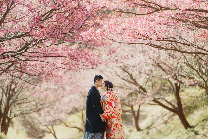 Izu Kawazu Sakura photo wedding 4