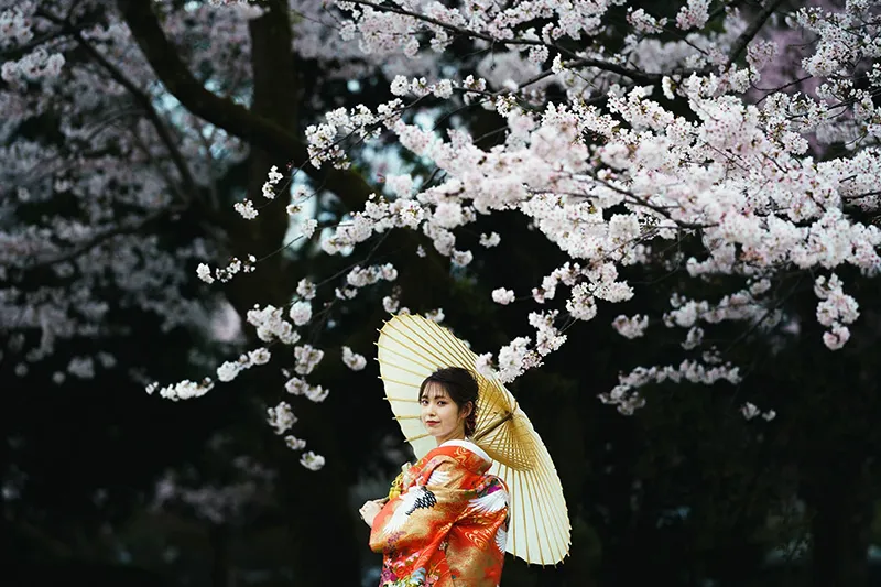 Fuji Shrine photo wedding 5