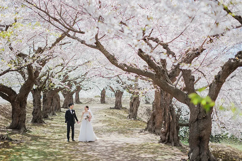 Goryokaku Park photo wedding 1