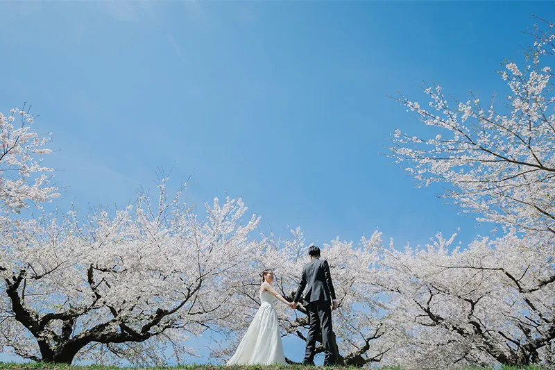 Goryokaku Park photo wedding 3