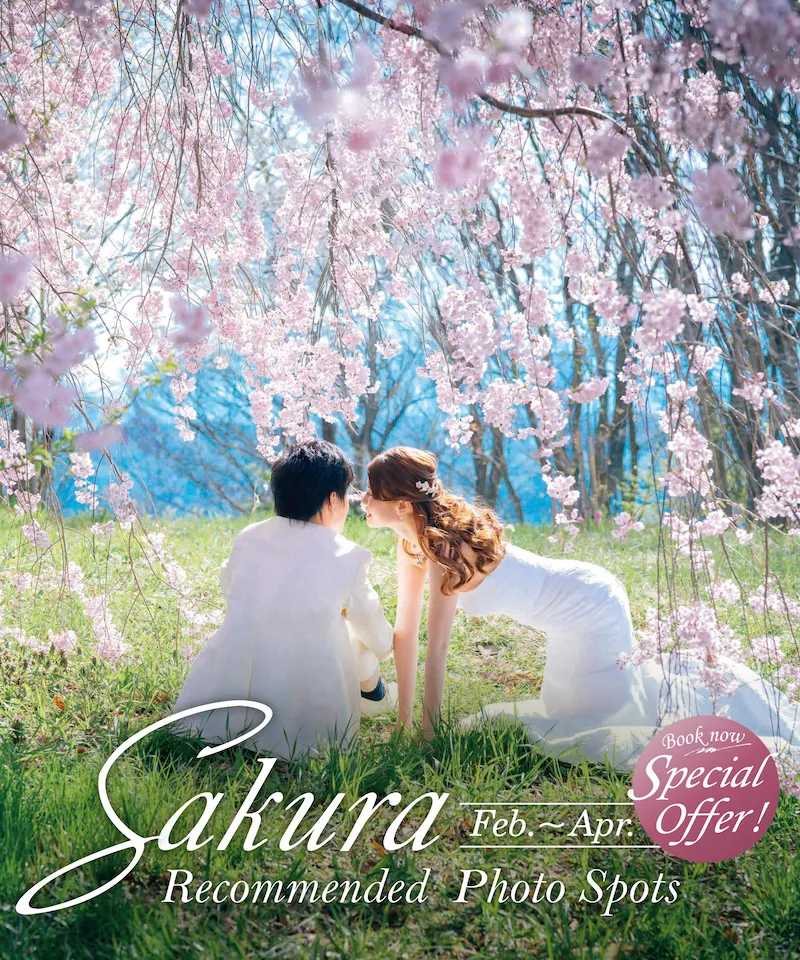 Best Sakura Spots in Japan