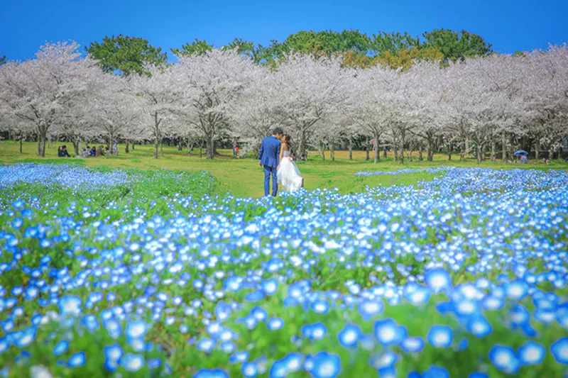 Uminonakamichi Seaside Park photo wedding 1