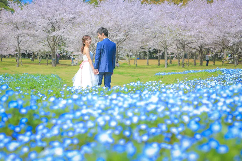 Uminonakamichi Seaside Park photo wedding 2