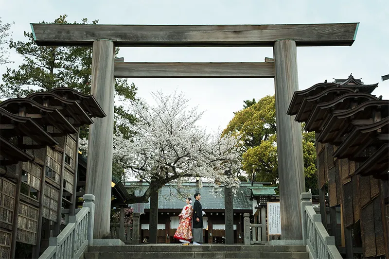 Iseyama Kotai Jingu Shrine photo wedding 4