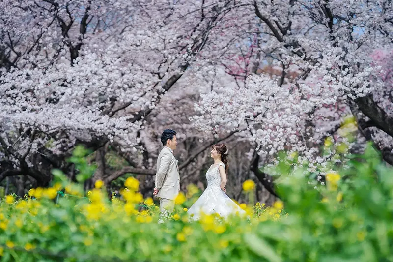 Showa Kinen Park photo wedding 4