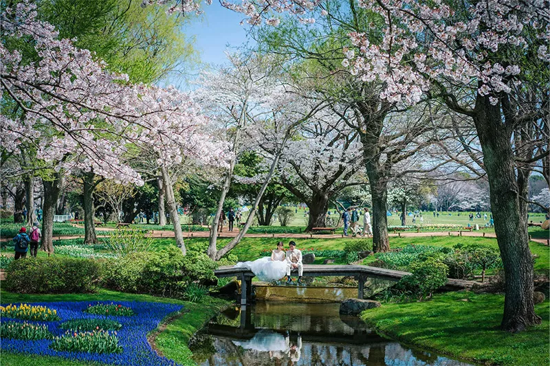 Showa Kinen Park photo wedding 6