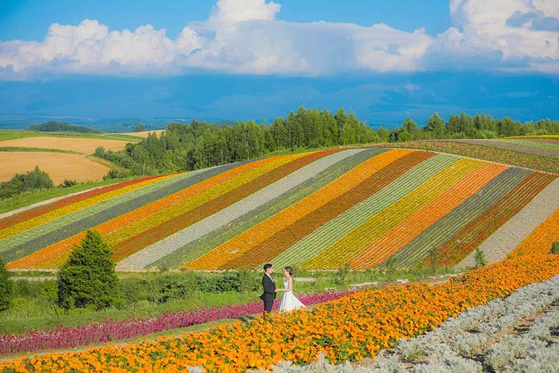 Shikisai-no-Oka photo wedding 1