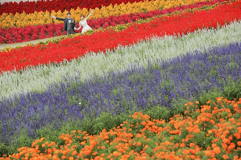 Shikisai-no-Oka photo wedding 4