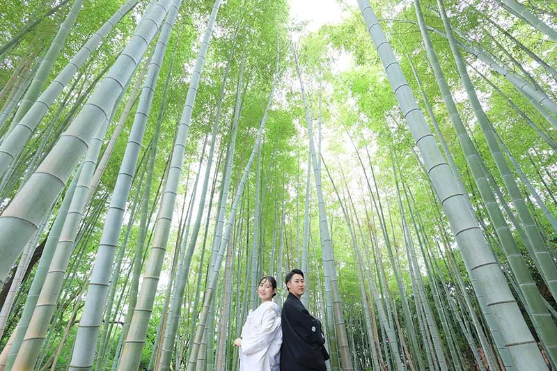 Shiratori Japanese Garden photo wedding 3