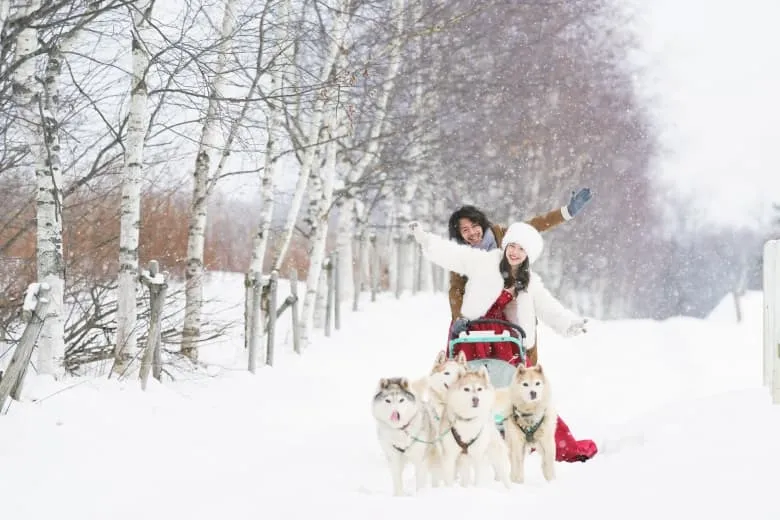 Hokkaido photo wedding 6