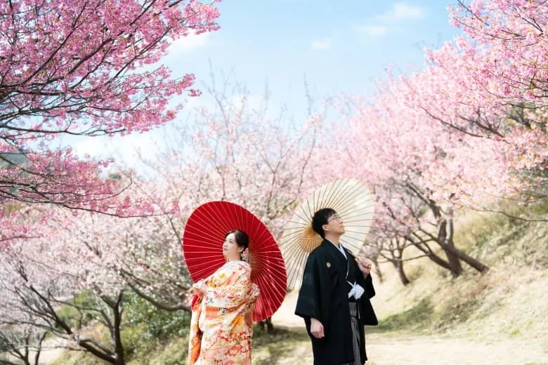 Izu Kawazu Sakura photo wedding 8