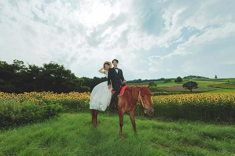 Hanasajiki Flower Field photo wedding 3