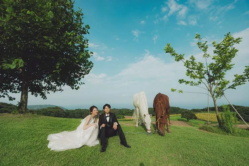 Hanasajiki Flower Field photo wedding 6