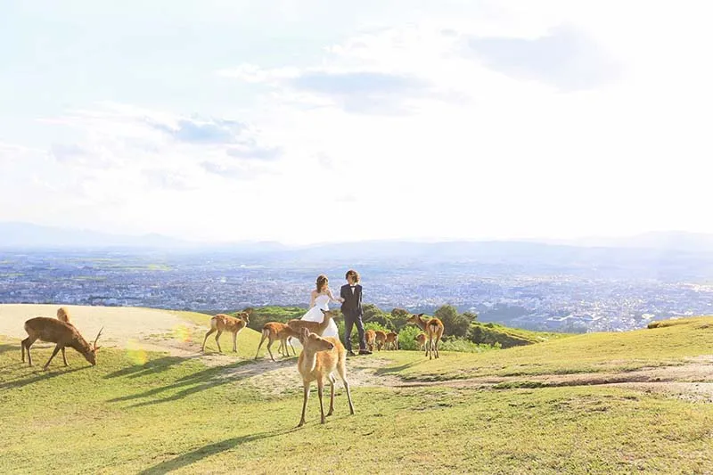 Mt. Wakakusa photo wedding 1