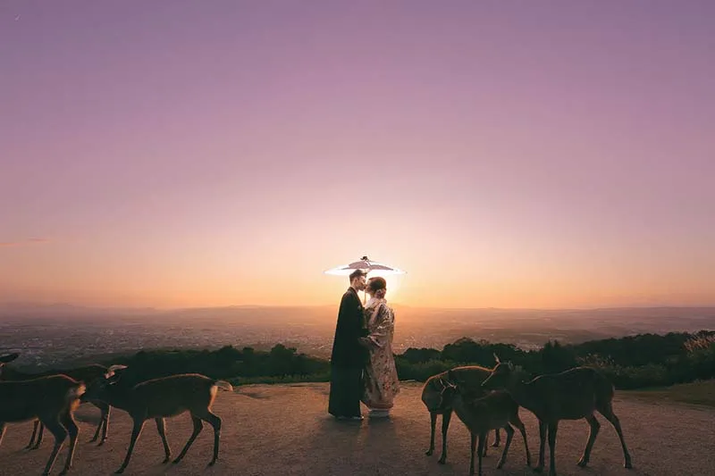 Mt. Wakakusa photo wedding 2