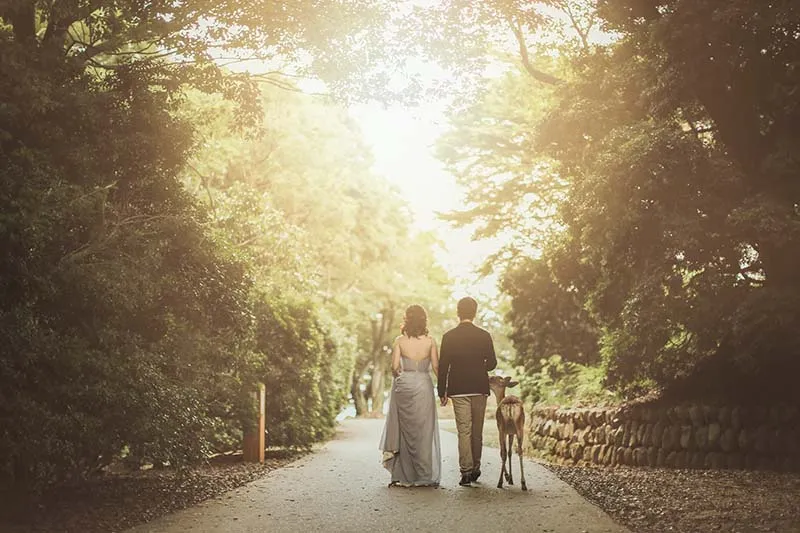 Mt. Wakakusa photo wedding 4