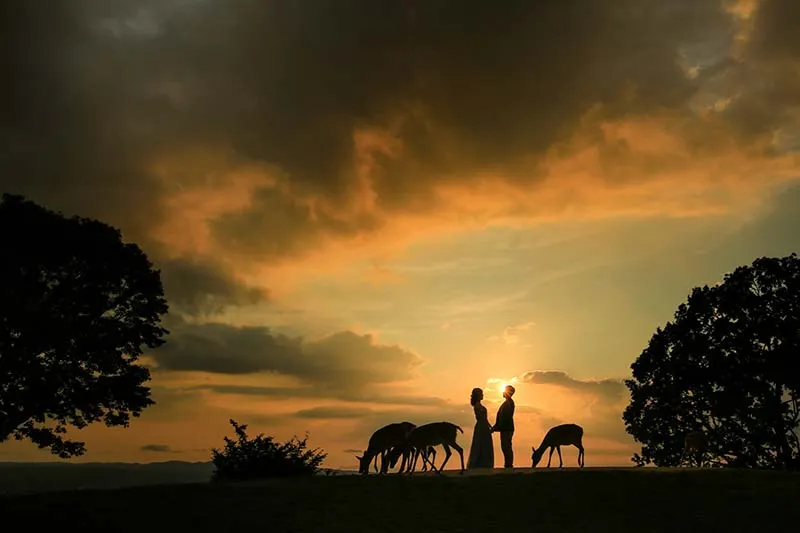 Mt. Wakakusa photo wedding 6
