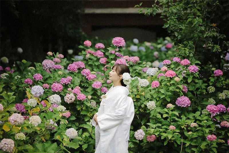 Chishaku-in Temple photo wedding 1