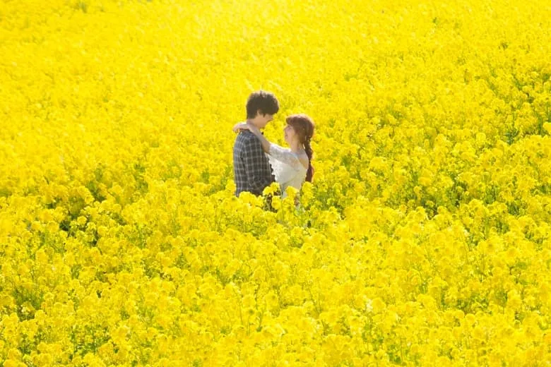 Awaji Island photo wedding 1