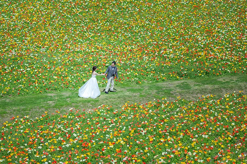 Awaji Hanasajiki photo wedding 1