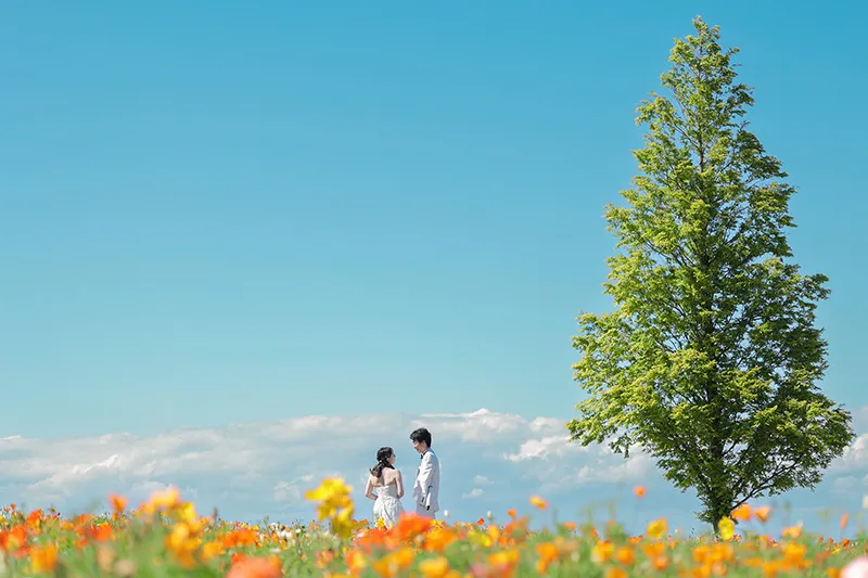 Awaji Hanasajiki photo wedding 6