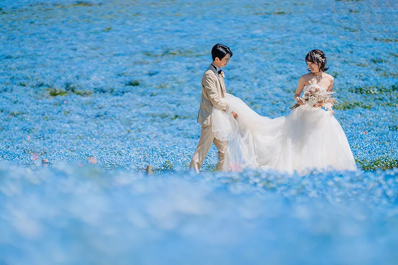 Hitachi Seaside Park photo wedding 1