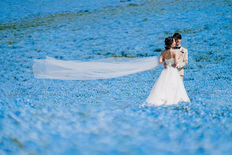 Hitachi Seaside Park photo wedding 2