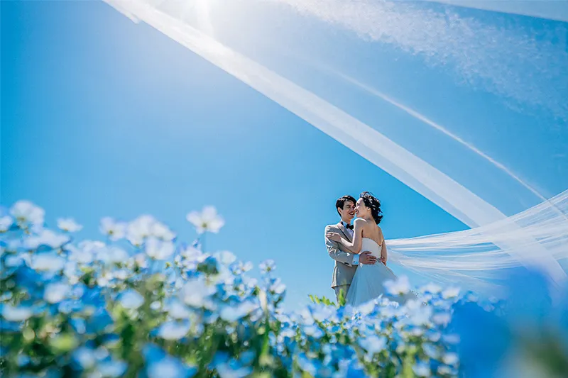 Hitachi Seaside Park photo wedding 3