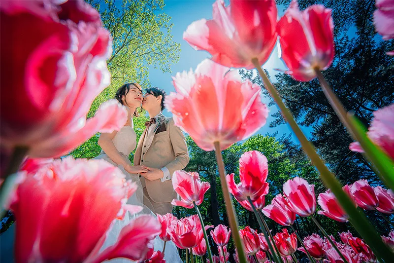 Hitachi Seaside Park photo wedding 4