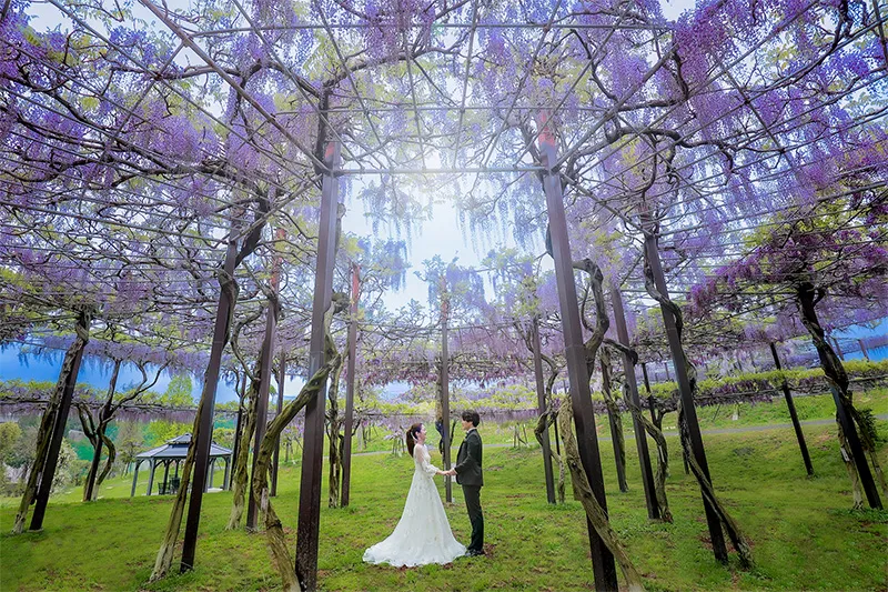 Kazahaya-no-Sato Garden photo wedding 1