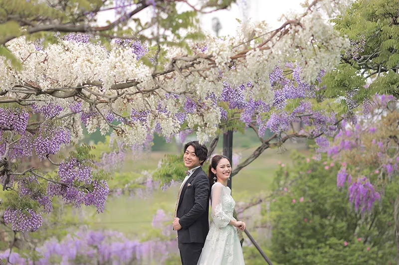 Kazahaya-no-Sato Garden photo wedding 4