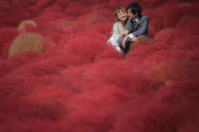 Kochia field photo wedding 2