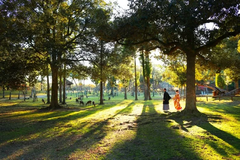 Nara Park photo wedding 2