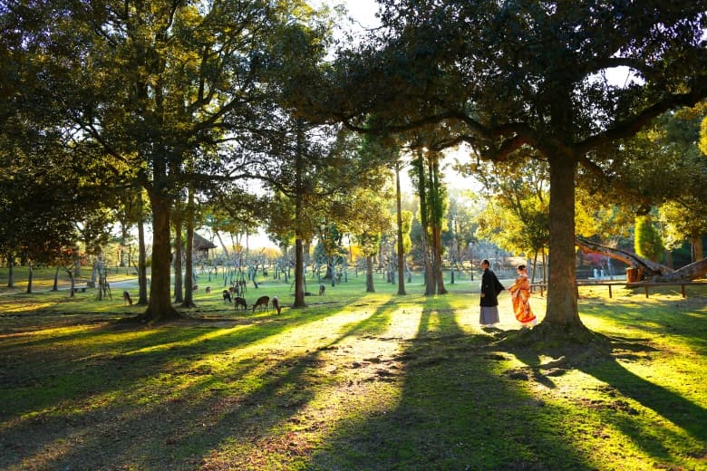 Nara Park photo wedding 2