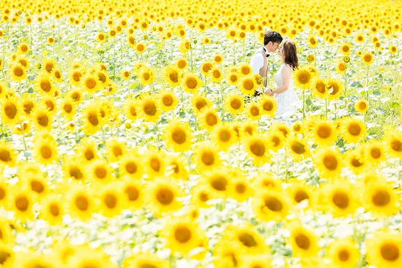 Yanagawa photo wedding 1