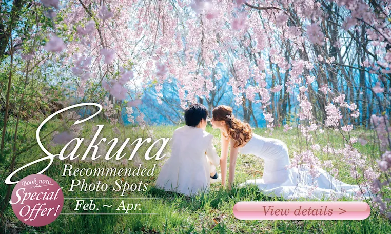 Sakura Best Photoshoot Spots!